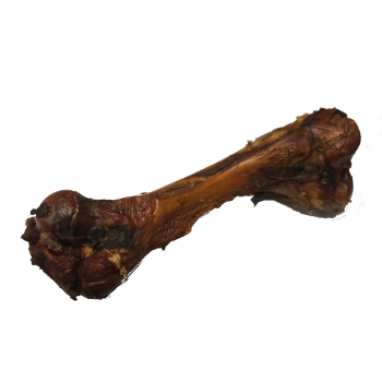 Bild zeigt einen Schinkenknochen groß heißluftgetrocknet, lose liegend.