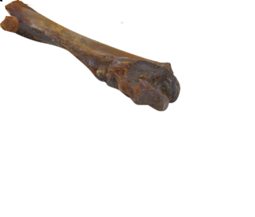 Bild zeigt einen Schinkenknochen klein luftgetrocknet, lose liegend.