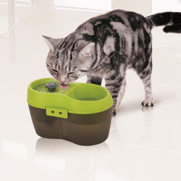 Bild zeigt eine getigerte Hauskatze am anthrazit - grünen Katzentrinkbrunnen trinkend.