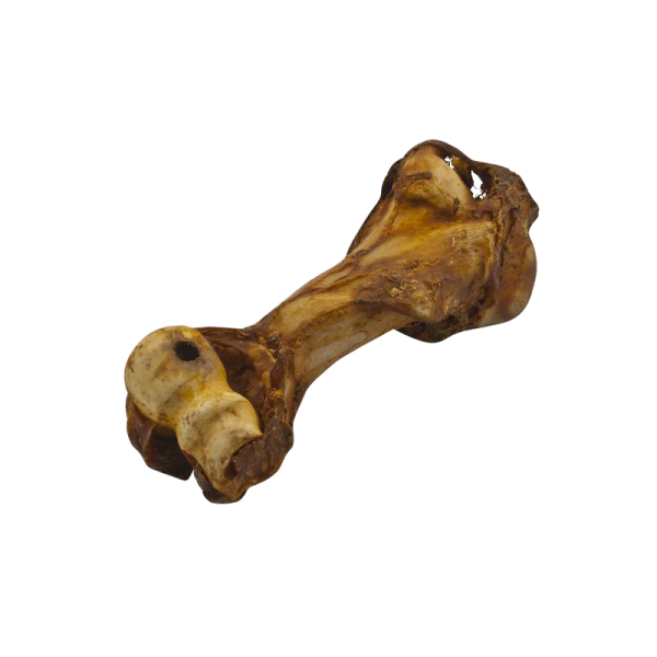 Bild zeigt einen getrockneten Rinderjumboknochen liegend.